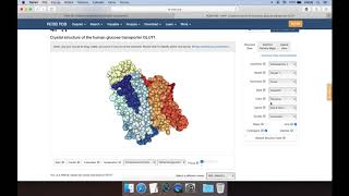 Bazy danych w biologii molekularnej białek [upl. by Noleta]