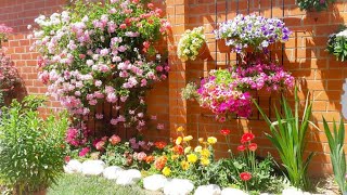 Patio con mucha variedad de plantas y sus cuidados 🌷 [upl. by Baun]