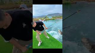 Amazing big fishing 🎣shorts fishing viralshorts [upl. by Grose]