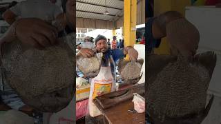 Bat fish cutting Skill  Fish Cutting Video  Fish market negambo [upl. by Nerin]