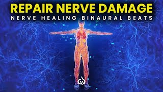 Repair Nerve Damage Binaural Beats for Nerve Regeneration Nerve Healing Frequency [upl. by Aloisia497]