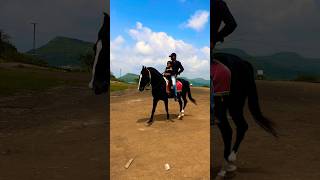 Horse video 🐎  horse horses ghoda cutebaby ytshorts viral trending shortsfeed ytvideo [upl. by Okiram]