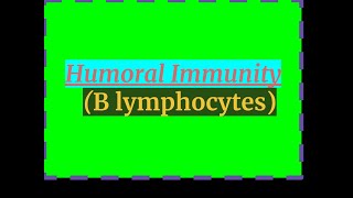 HUMORAL IMMUNITY B LYMPHOCYTES [upl. by Klarika]