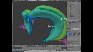 The hippocampal formation a short overview [upl. by Brit57]