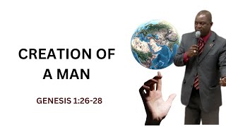 Creation of Man  Bible Study 112424 [upl. by Yesmar730]