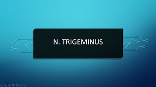 N Trigeminus  V Kraniyal Sinir [upl. by Immot]