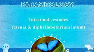 L3 Part 1 Taenia saginata solium and Diphyllobothrium latum Parasitology [upl. by Anahcra]