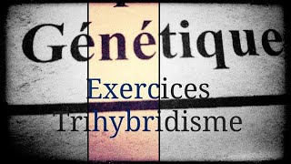 جديد Génétique I  Exercice numéro 1 en arabe Trihybridisme [upl. by Cliff273]