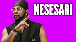 Kizz Daniel  NESESARI Music Video  Afrobeats [upl. by Arahs]