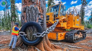 Extreme Dangerous Fastest Big Chainsaw Cutting Tree Machines  Monster Stump Removal Excavator ▶49 [upl. by Cockburn]