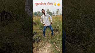 रागंदार से दीवार लगाव राजकरबु हौ🙏👍👍🥰🥰👌👌 [upl. by Abocaj]