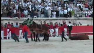 Feria de Pentecôte  La corrida du Samedi 30 mai [upl. by Alyek]