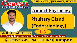 Pituitary Gland  Endocrinology  Animal Physiology 𝐆𝐞𝐧𝐞𝐬𝐢𝐬 𝐈𝐧𝐬𝐭𝐢𝐭𝐮𝐭𝐞 𝐨𝐟 𝐋𝐢𝐟𝐞 𝐒𝐜𝐢𝐞𝐧𝐜𝐞𝐬 [upl. by Gwenette]