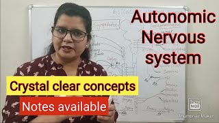 Autonomic nervous system physiology [upl. by Nauqas]