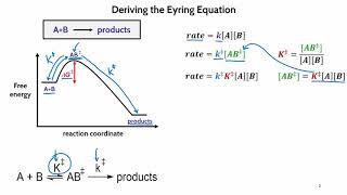 Derivation of the Eyring Equation [upl. by Lledyl]