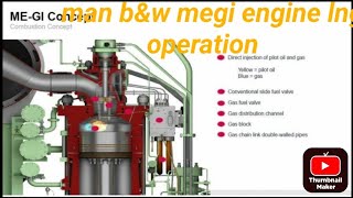 Why Dual Fuel Engines Are The Future [upl. by Ididn623]