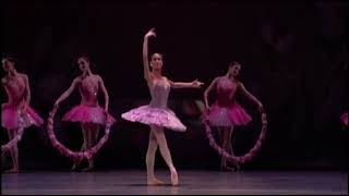 LE CORSAIRE  Gulnare Variation Paloma Herrera  American Ballet Theatre [upl. by Collin938]