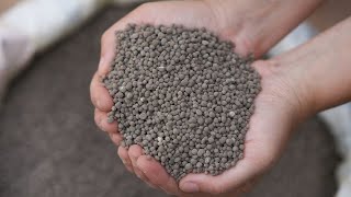 Best phosphate fertilizer [upl. by Callum712]