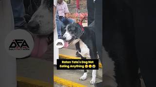 Ratan Tatas Dog Not Eating Anything 🥺😔 dog ratantata pets shorts viralvideo youtubeshorts [upl. by Louanne]