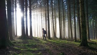 Metal detecting quotArdennes Forest SPECIALquot 25 [upl. by Gall]