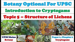 Lichens Crustose Foliose amp Fruticose Lichens Symbiosis Economic amp Ecological Importance UPSC [upl. by Arze]