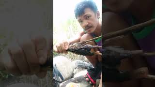 SPEARFISHING catch and cook with MUKBANG [upl. by Spiro]