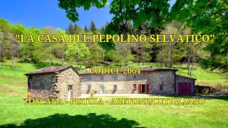 La CASA del PEPOLINO SELVATICO  Casale in Vendita a Abetone Cutigliano PT con giardino RIF 2064 [upl. by Odnalo]