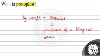 What is protoplast [upl. by Bully]