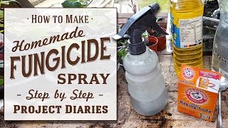 ★ How to Make Cheap Homemade Fungicide Complete Step by Step Guide [upl. by Coco]