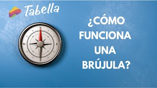 ¿Cómo funciona una brújula  Aprende Con Tabella [upl. by Euqinahs626]