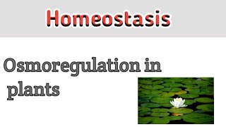 Osmoregulation in plants  Homeostasis [upl. by Nwahsit]