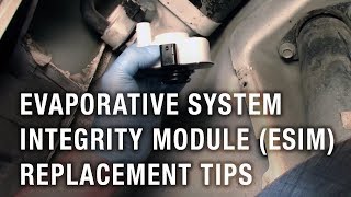 Evaporative System Integrity Module ESIM Replacement Tips [upl. by Alick]