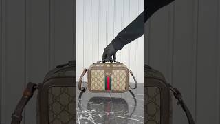 Gucci Ophidia Small Crossbody Bag [upl. by Ecitnerp]