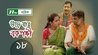 Urey Jay Bok Pokkhi  উড়ে যায় বকপক্ষী  EP 18  Meher Afroz Shaon  Riaz  NTV Drama Serial [upl. by Elokkin]