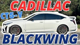 Driving a Cadillac CT5V Blackwing [upl. by Eivad873]