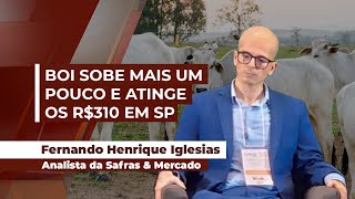 Semana começa com alta da arroba do boi e negócios de até R310 em SP demanda forte impulsiona [upl. by Anawyt]