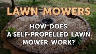 How Does a SelfPropelled Lawn Mower Work [upl. by Amity560]