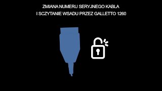 Sczytanie wsadu przez kabel inpy galletto 1260 [upl. by Elisabetta315]