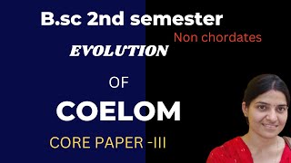 Evolution of coelom BSc 1st yearEvolution of coelom and metamerism BSc zoology gnb zoology [upl. by Oribelle]