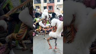 Appe pili amp Kinni poli JBC pilivesha mangaloretigerdance hulivesha tigerdance tigerdance [upl. by Ellitnahc]