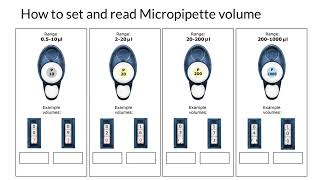 How to Pipette in 5 Simple Steps  Pipetting Tutorials  Ep 1 Micropipettes [upl. by Ketchum]