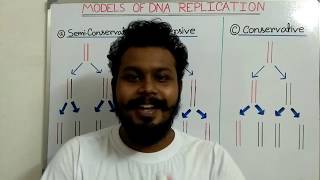 DNA replication models I semiconservative  conservative and dispersive model I [upl. by Peterus]