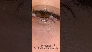 Brown eyesfypシ゚eyes brownbrowneyesbrowneyedgirlsongtrendtrendstrending [upl. by Eifos]