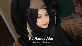 Dj Hapus Aku  Slowed  Reverb TikTok Version [upl. by Orola]