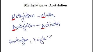 USMLE ACE Video 18 DNA Methylation and Histone Acetylation [upl. by Maridel]