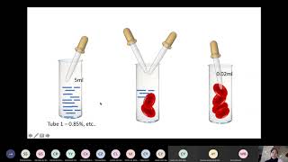 PHYSIOLOGY PRACTICAL OSMOTIC FRAGILITY TEST [upl. by Onafets]