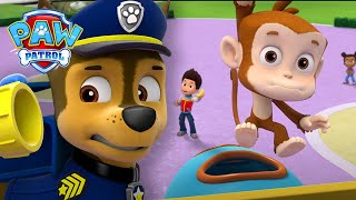 Los cachorros intentan atrapar a un mono muy tonto  PAW Patrol Episodio Español [upl. by Hedges]