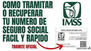 Como tramitar mi Numero de Seguro Social  2024  Fácil y Rápido IMSS  NSS [upl. by Schober267]