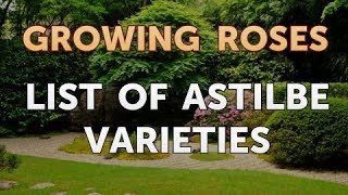 List of Astilbe Varieties [upl. by Enihpesoj100]