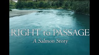 Right To Passage A Salmon Story [upl. by Westmoreland]